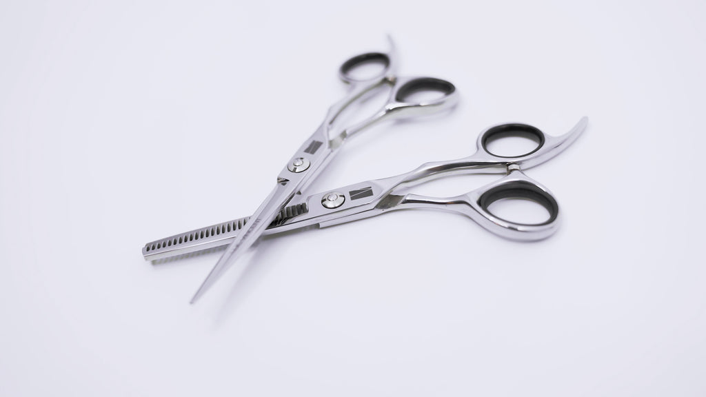 Set of professional Luc Vincent Scissors